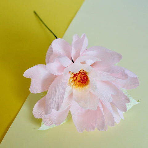 Daisy Paper Flower