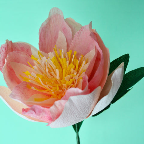 Paper Flower Peony