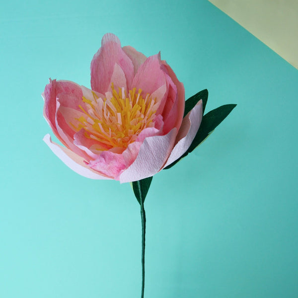 Paper Flower Peony