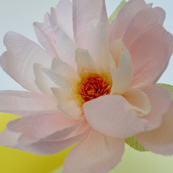 Daisy Paper Flower