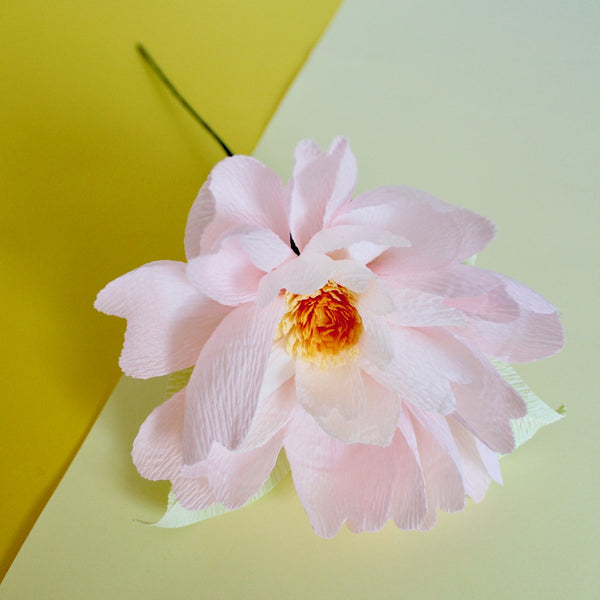 Daisy Paper Flower