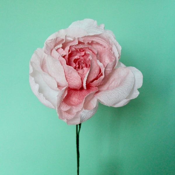 English Rose Paper Flower