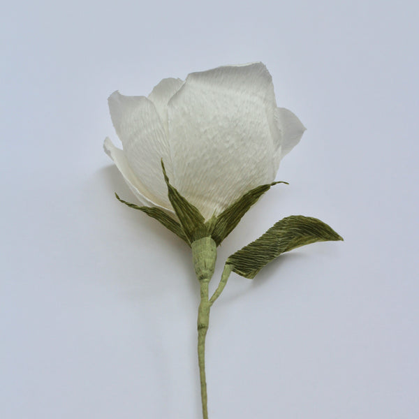 Single Stem White Paper Rose – Paper Posies LDN