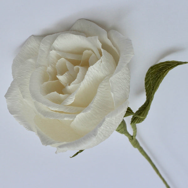 Single Stem White Paper Rose