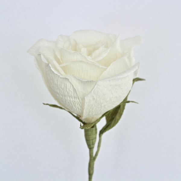 Single Stem White Paper Rose