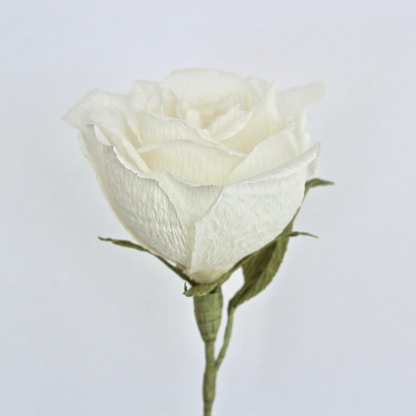 Single Stem White Paper Rose