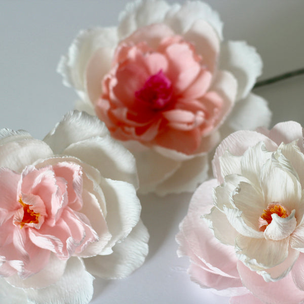 Powder Puff Paper Rose