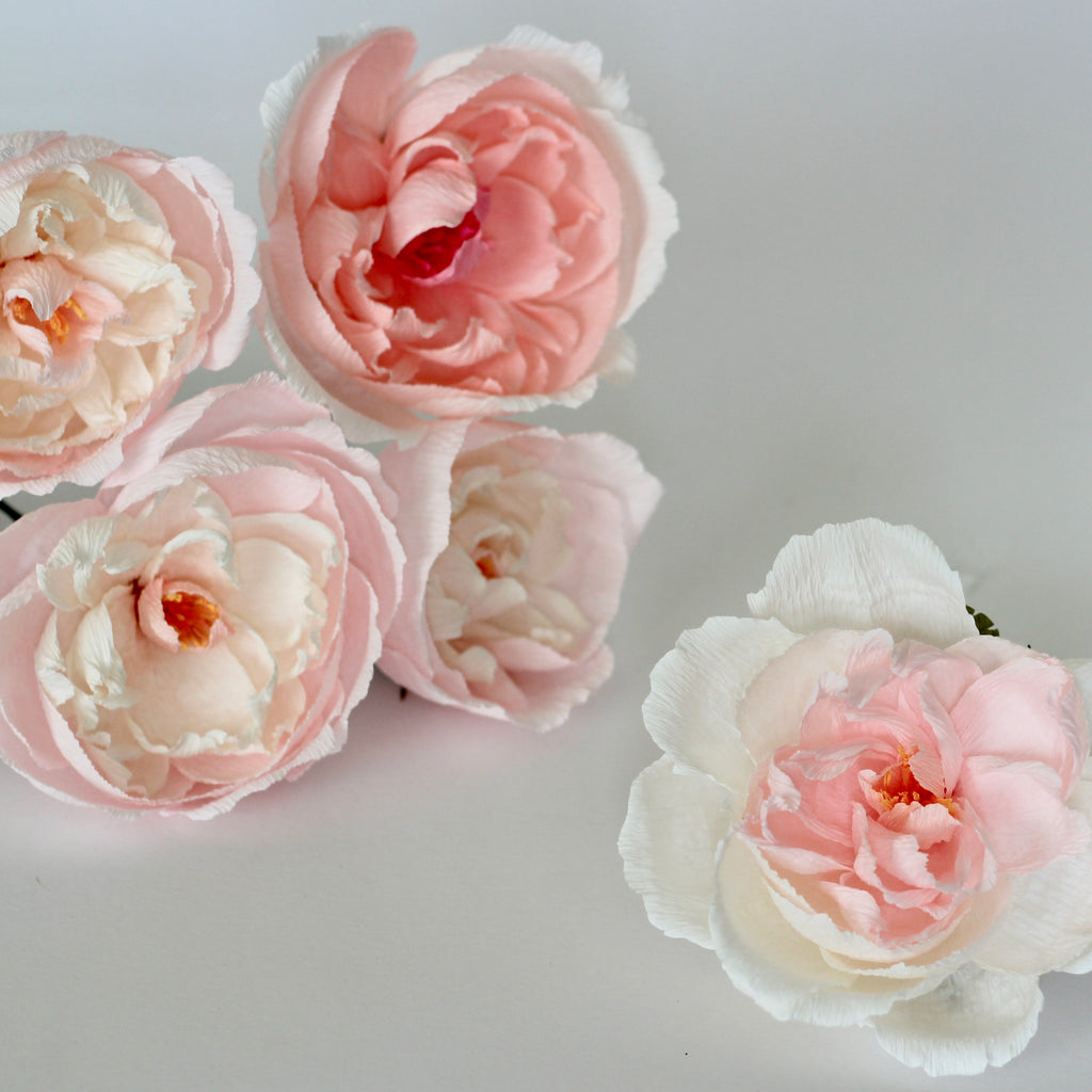 Poweder Puff Roses Powder Puff Paper Rose – Paper Posies LDN