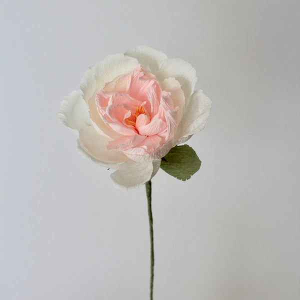 Powder Puff Paper Rose