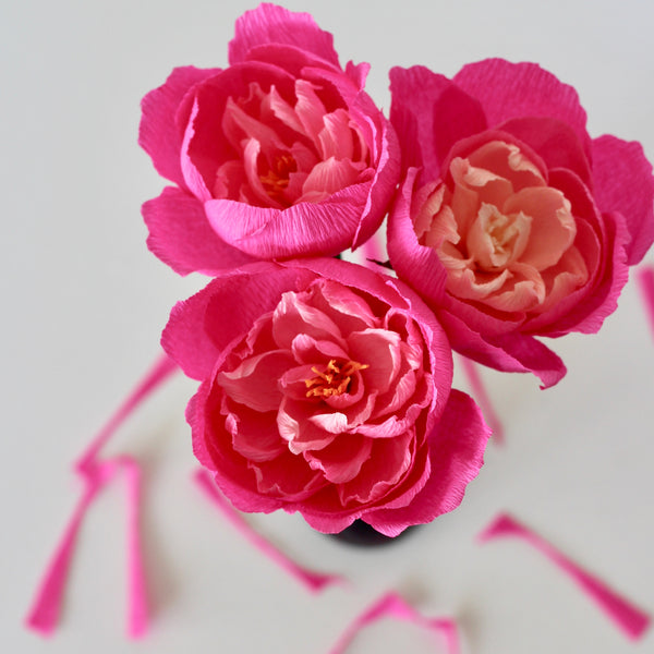 Hot Pink Paper Rose