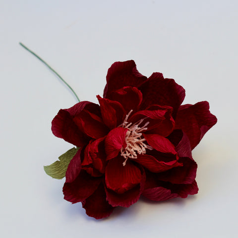 Deep Red Paper Peony
