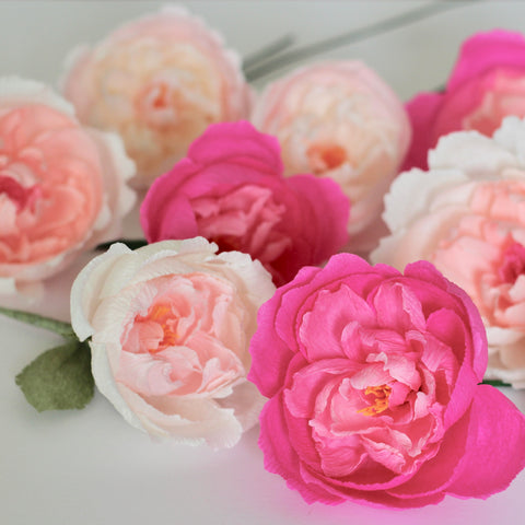 Hot Pink Paper Rose