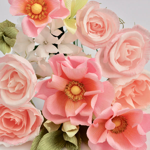 Peachy Anemone