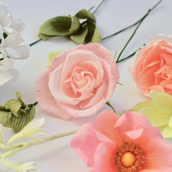 Pink Paper Rose