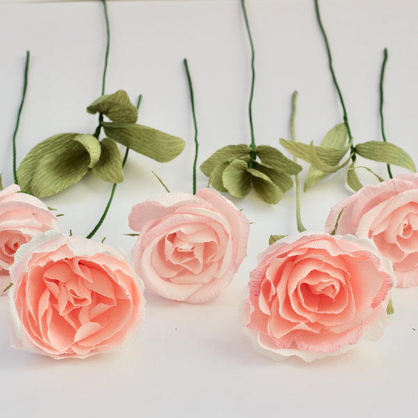 English Shrub Paper Rose